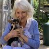 Esta é a Moley, a cadela resgatada que se tornou a melhor amiga da Rainha Camilla